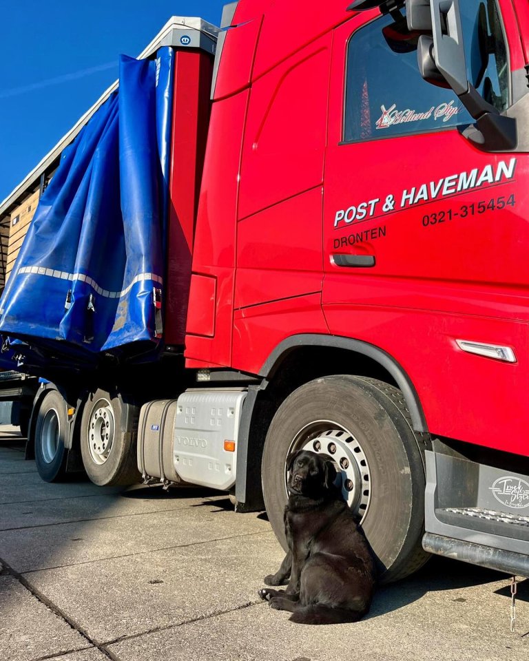 Hond naast vrachtwagen Post & Haveman